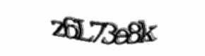 Security check image, please type the characters shown