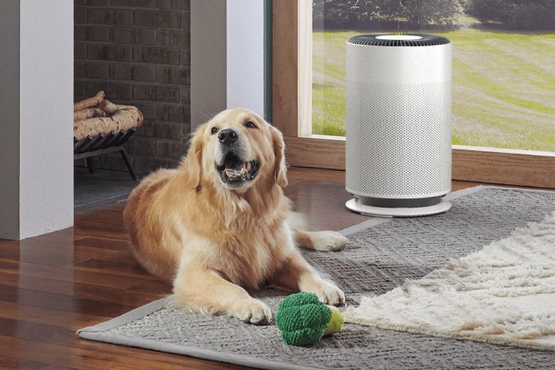 webimage-Air-Care-
