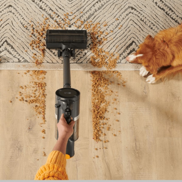 Vacuum, lg cordzero