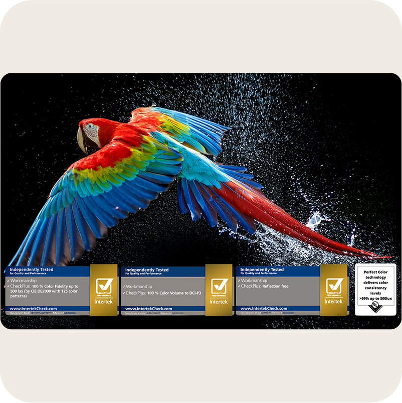 LG OLED TV displaying vivid, high-resolution artwork of a parrot in vibrant blues, reds, and yellows against a black background. Series of 3 badges labeled "Independent test results for quality and performance" from Intertek: Workmanship, Color Fidelity, Color Volume, Reflection Free. UL badge that says, "Check the Perfect Color Mark" with supporting text: "Perfect color technology delivers color consistency levels greater than 99% up to 500lux."