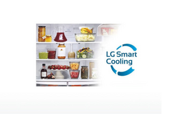 LG LDNS22220ST Bottom Mount Refrigerator