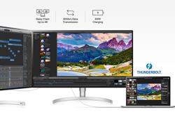 32” UltraFine™ UHD 4K Monitor - 32UL950-W | LG USA
