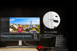 LG 27'' Class 4K UHD IPS LED Monitor (27'' Diagonal) (27UD88-W