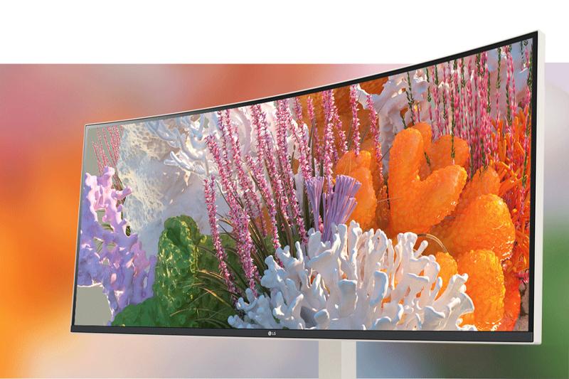 Curved monitor showing a colorful underwater coral scene.