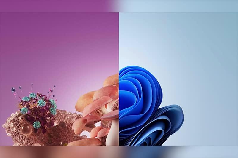 826281_5 826281_5