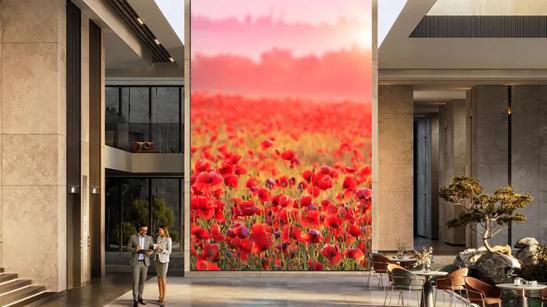 Modern lobby area with large LG DVLED displaying a vivid field of red poppies.