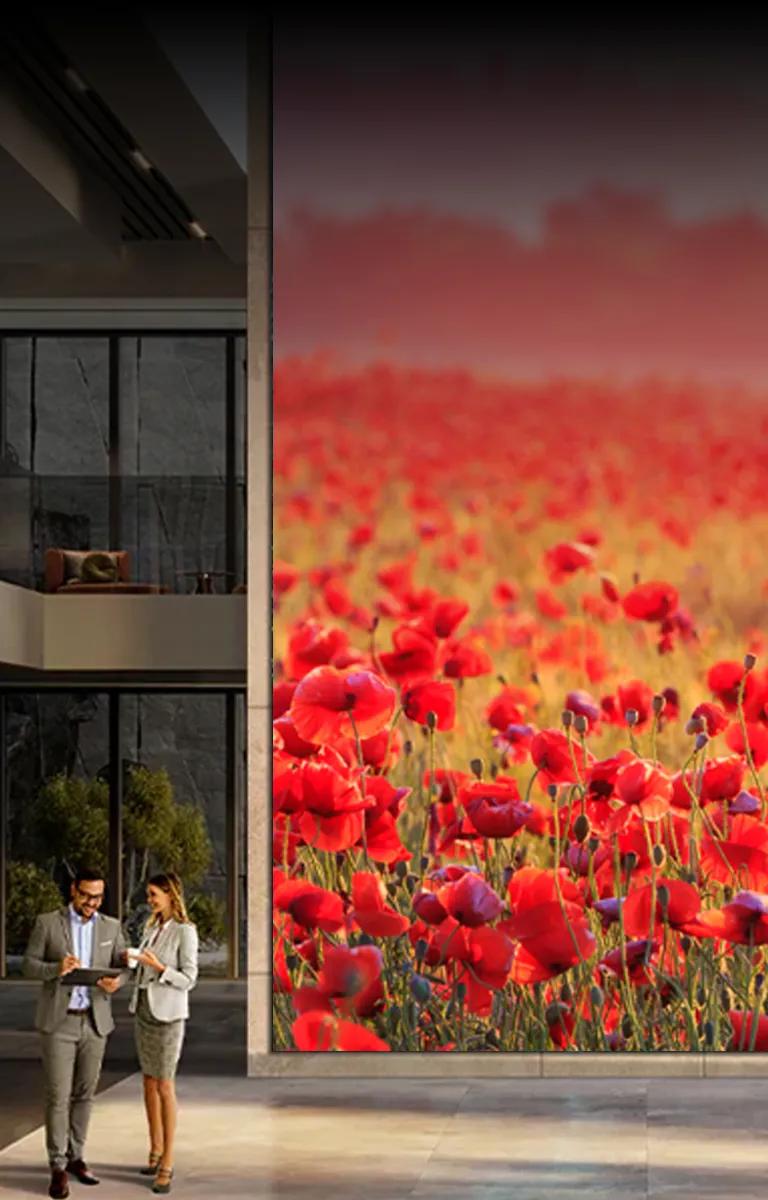 LG Commercial Displays | Digital Signage Solutions | LG Business