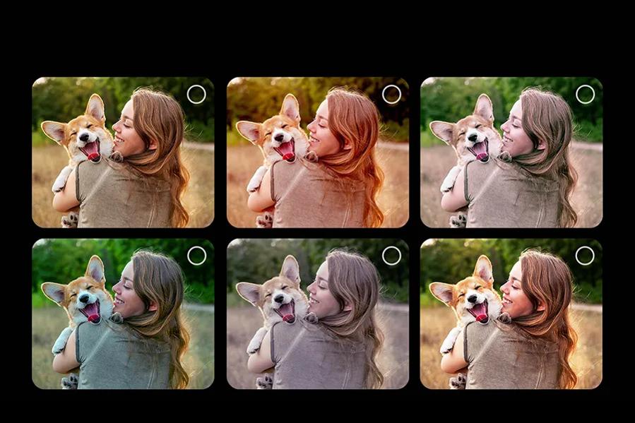 Six color calibration profiles showing a dog