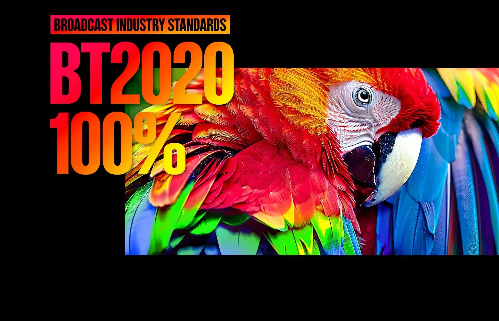 LG Micro RGB evo TV with certified triple 100% color coverage fulfills BT2020 100% broadcast industry standards, displaying a macaw in vivid reds, greens, and blues that fill the screen to demonstrate full-spectrum color accuracy.