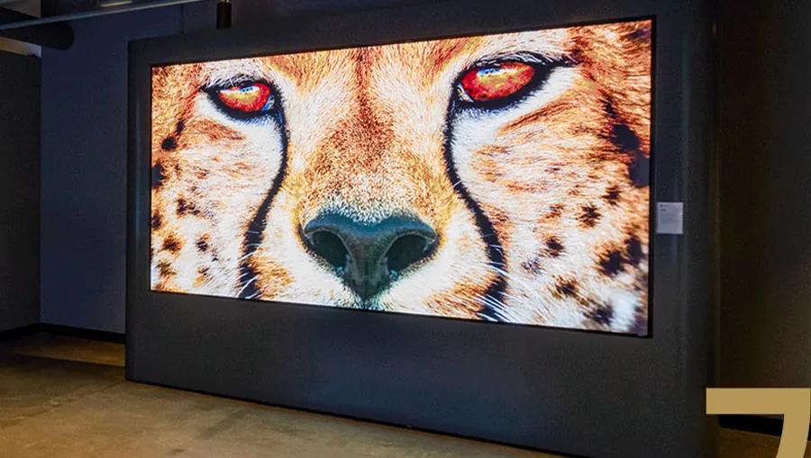 Large scale digital signage on the wall of the LG LA Business Innovation Center, displaying a vivid close-up of a cheetah.