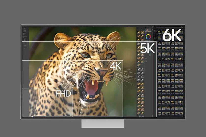 Monitor displaying a snarling leopard photo with FHD, 4K, 5K, and 6K resolution guides in image-editing software.
