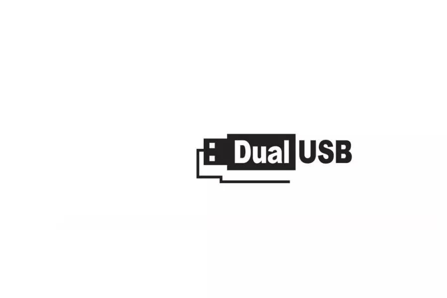 dual usb logo