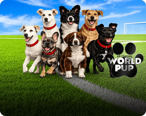 Promotional graphic for LG Channels World Pup featuring a group of different breed puppies on a soccer field, facing the camera.