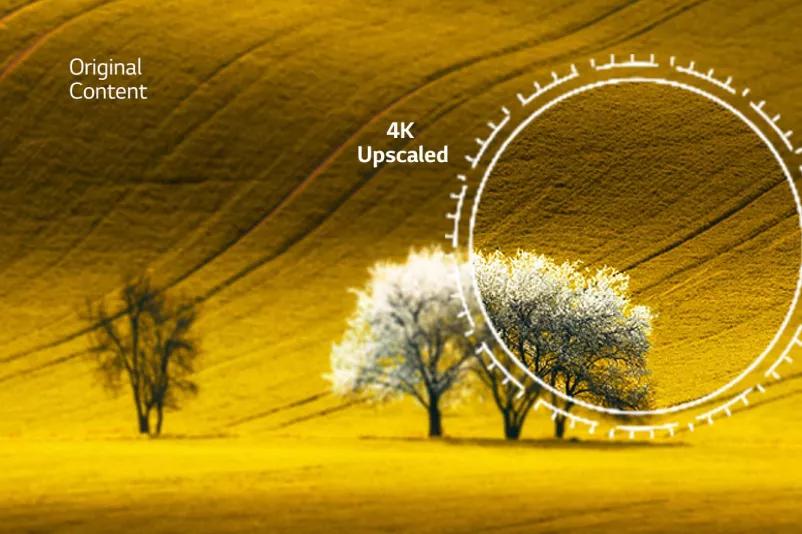 4K upscaling on a group of trees