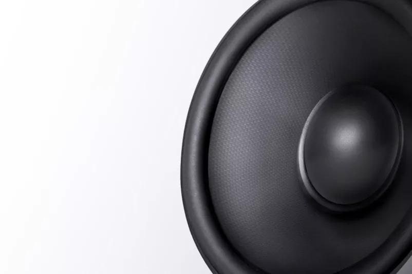 Carbon Woofer for a High Fidelity Sound