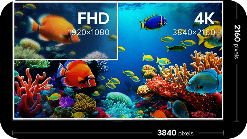 Coral reef image with colorful fish and coral comparing Full HD (1920 by 1080 pixels) to larger, sharper 4K (3840 by 2160 pixels) resolution.