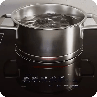 A pot of water boils on an induction stovetop.