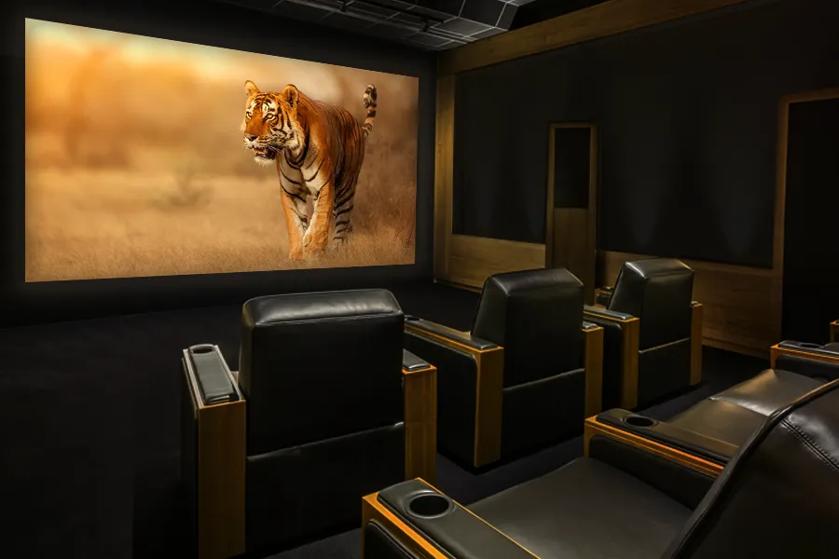 A small chic theater with plush leather seats and an LG OLED 97 display showing a tiger in a nature documentary.