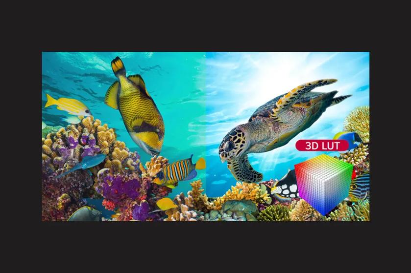Underwater scene with colorful fish, corals, a sea turtle, and a 3D LUT color cube.