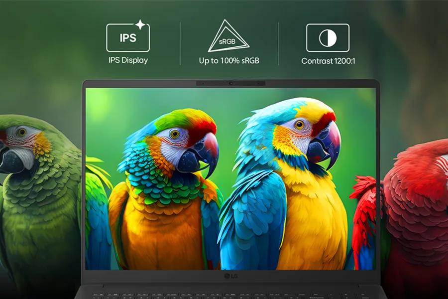 Clarity and detail in every pixel  