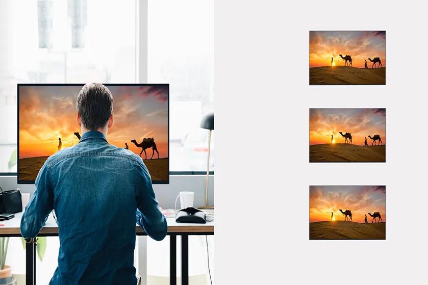 Person looking at a computer monitor displaying a sunset desert scene with camels, with three smaller identical images on the wall.