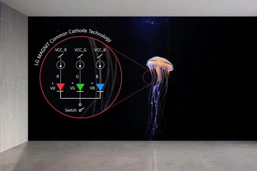 A large scale LG MAGNIT Direct View LED display in a modern space with an image of a jellyfish. A pop-out bubble illustrates LG MAGNIT's common cathode technology, with a graphic showing the flow of voltage to each color pixel.