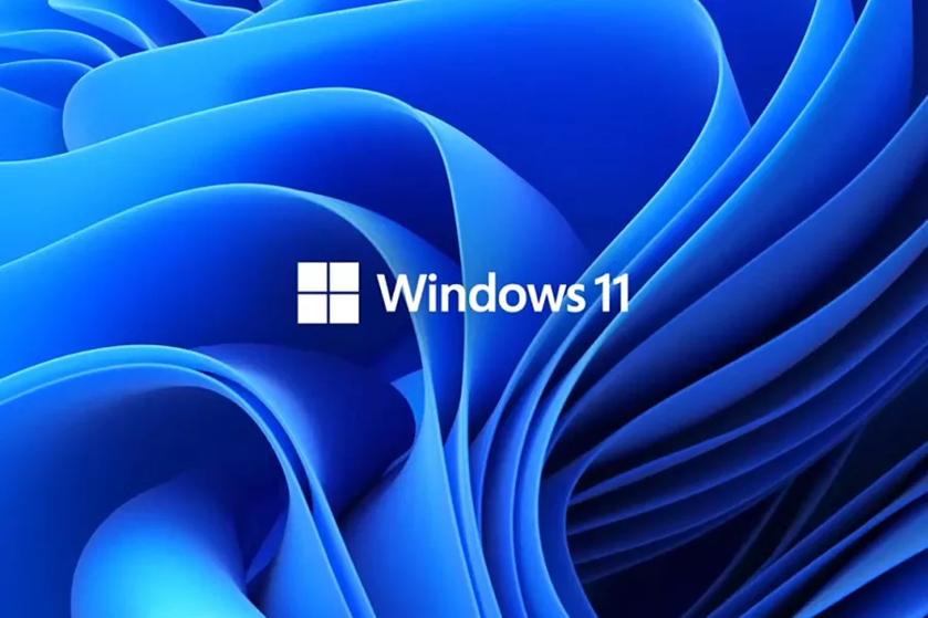 Windows 11 Home 64 bit