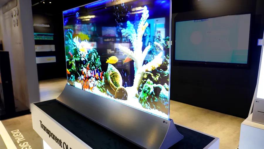 An aquarium scene displayed on an LG Transparent OLED signage display in the New Jersey BIC.