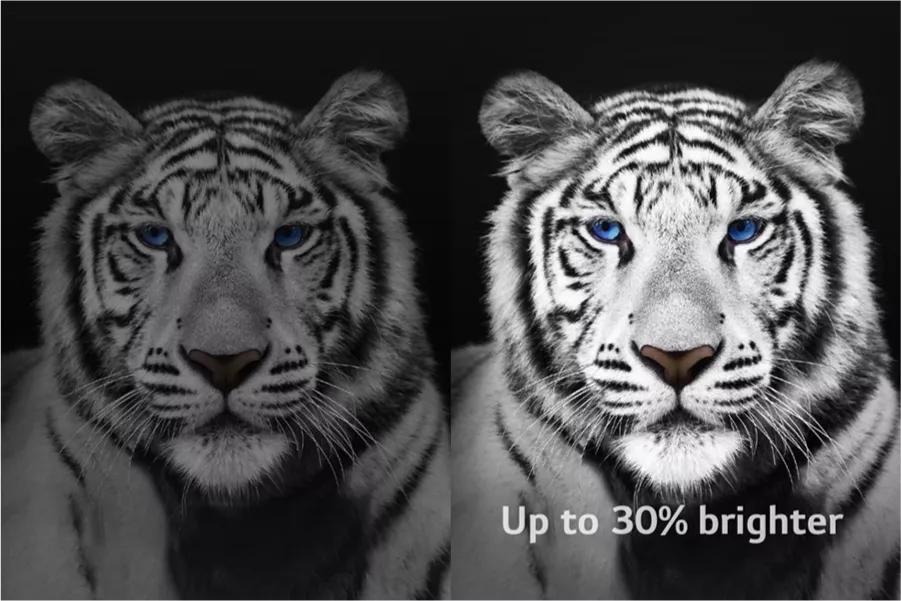 A split screen image of a tiger with left side darker and right side brighter. Text: Up to 30% brighter.