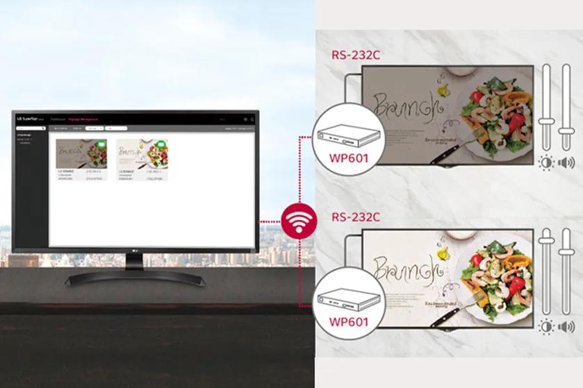 WP601-B display control capability