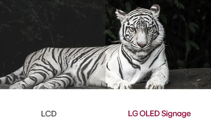 Digital Signage OLED Perfect Black