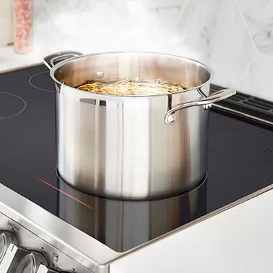 A pot of water boils on an induction stovetop.