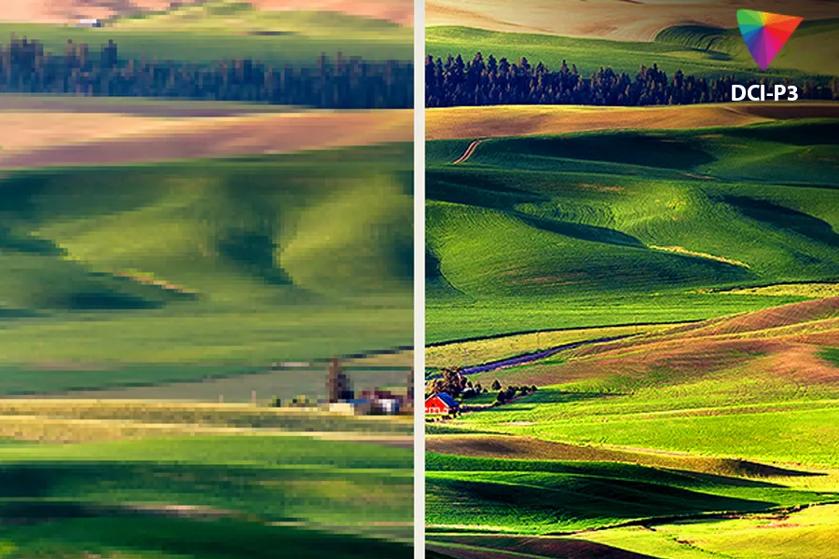 Vivid Color with Impeccable Contrast