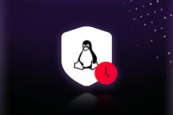 LG AI TV with LG Shield is recognized for Ensuring Software Integrity, illustrated by a secure system icon, where authentication mechanisms verify system reliability and protect against unauthorized access.