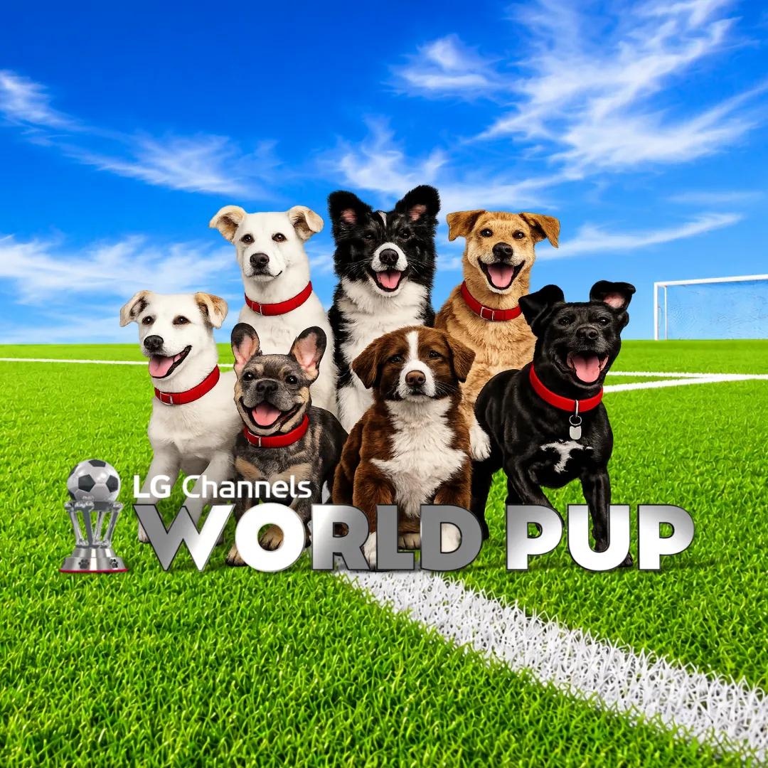 Seven dogs of various breeds wearing red collars pose together on a soccer field with a goal net in the background. The LG Channels World Pup logo with a soccer ball trophy appears in the bottom left corner.