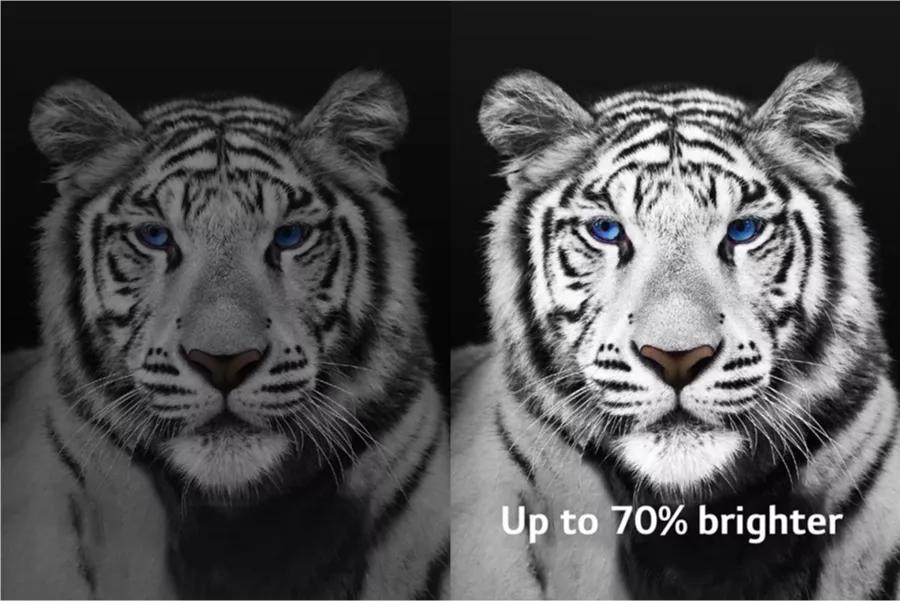A split screen image of a tiger with left side darker and right side brighter. Text: Up to 70% brighter.