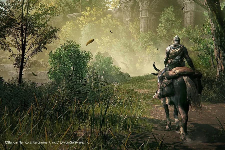 ©bandal namco entertainment inc./©fromsoftware,Inc.
