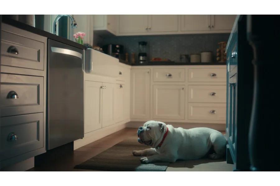 So Quiet, You Can Use Your Indoor Voice