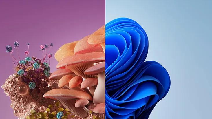 This is an image split into two. The left side showcases a variety of colored mushrooms over a purple ambient background. The right side shows abstract blue swirls, that appear as sheets made of clay or 3d rendering.