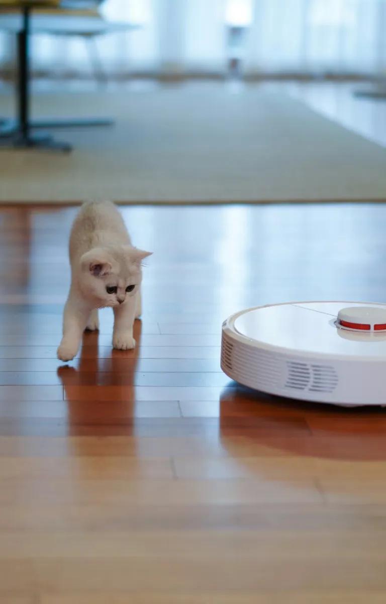 Which Robot Vacuum is Best for Small Apartments? Top Picks Revealed