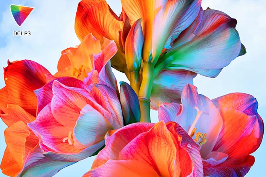 PU600U Projector Bold Color feature with DCI-P3 color gamut displaying vibrant multicolored flowers