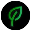 Leaf Icon
