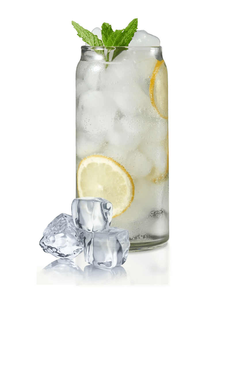 Clear carbonated drink in a clear glass with standard ice cubes, lemon slices and mint.