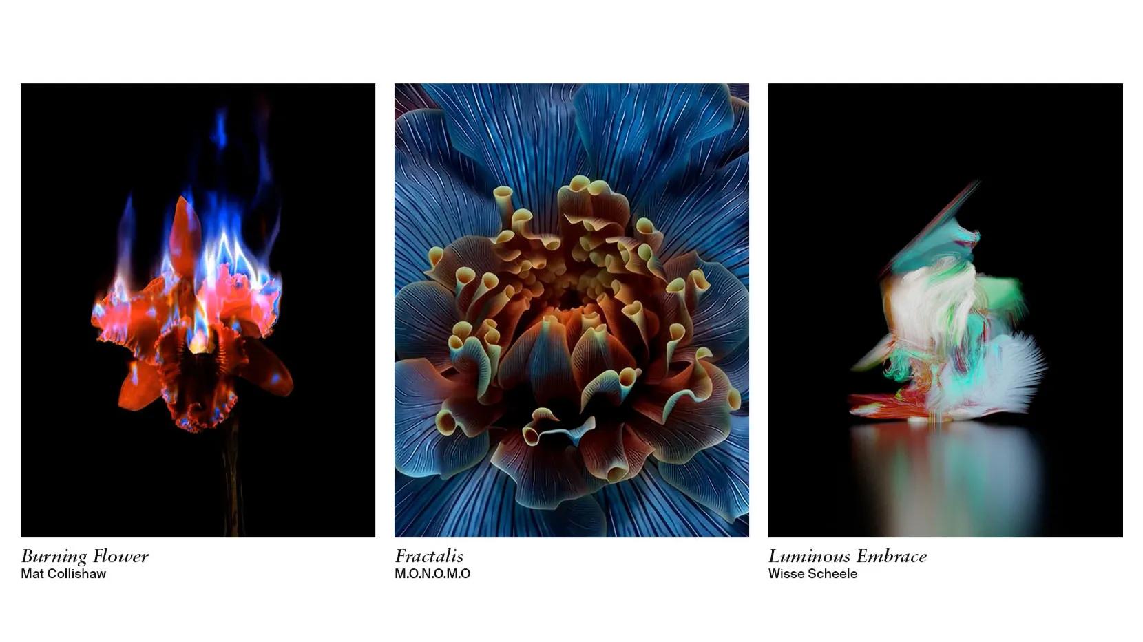 LG Gallery+ Presents Digital Artwork From Sedition, Including Select Exclusive Pieces