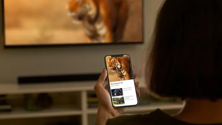 A woman holds a smart phone, showing the Apple Airplay display on it. In the background, an LG Hotel TV shows the same nature documentary that is on the phone.