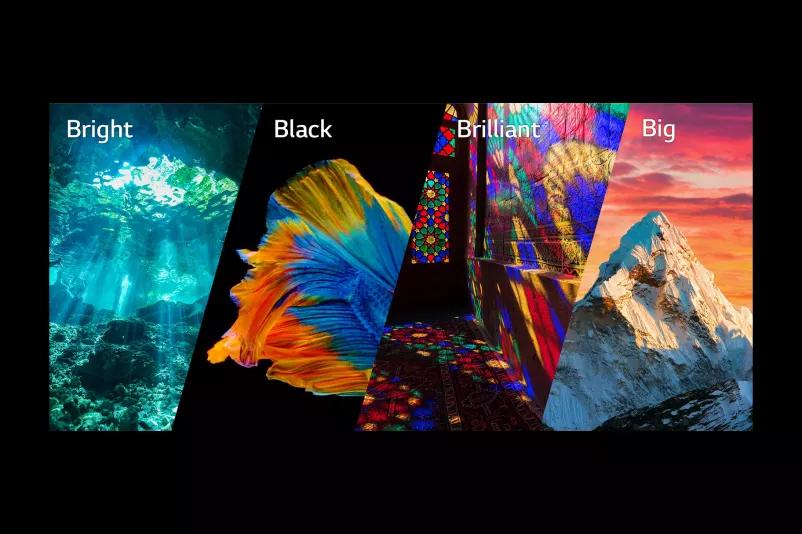 Depth of detail with LG QNED MiniLED TV showing deeper blacks and brilliant colors