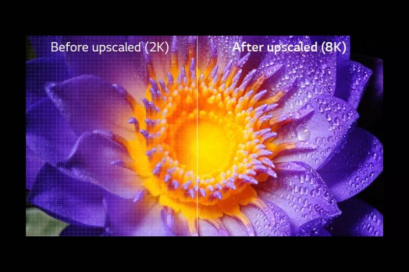Side by side comparison of image of a flower in the original 2K definition on the left and upscaled to 8K on the right