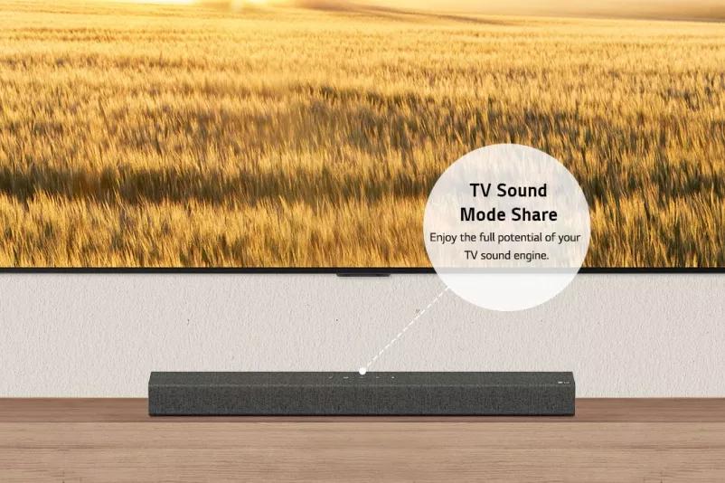 TV and Soundbar are seen from the frnt Reed beds are on TV screen In a text box says TV Sound Mode Share in bold and Hear the TVis AI Sound modes through your soundbar in regular text