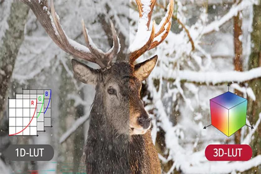 The image features a deer standing in a snowy forest. The deer is centered, with its large antlers reaching upward. Snow covers the surroundings, with snow-laden branches providing a textured backdrop. The image is split into two halves: the left side has a slightly muted, darker tone, while the right side appears brighter and more vibrant. On the left, a graphic representing a 1D-LUT (Look-Up Table) is overlaid, showing a grid with red, green, and blue lines curving upward. On the right, a 3D cube graphic symbolizes a 3D-LUT, with a gradient transitioning from red to green to blue across the cube’s faces.