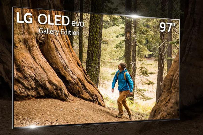 Digital Signage OLED evo Gallery Edition